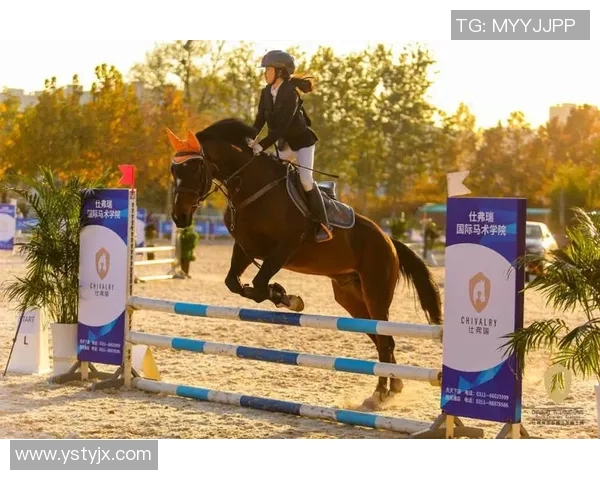 dac solo赛比赛结果-DAC SOLO赛圆满落幕，精湛技艺决出最后赢家-dac solo赛比赛结果